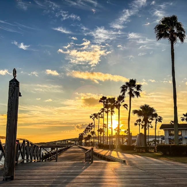 🎣 아라이 벤텐 바다낚시 공원(아라이 벤텐 우미즈리 코엔) 이미지 9